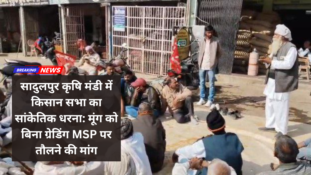 सादुलपुर कृषि मंडी में किसान सभा का सांकेतिक धरना: मूंग को बिना ग्रेडिंग MSP पर तौलने की मांग